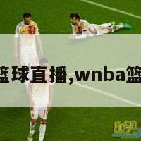 wnba篮球直播,wnba篮球比赛
